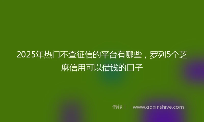 2025年热门不查征信的平台有哪些，罗列5个芝麻信用可以借钱的口子