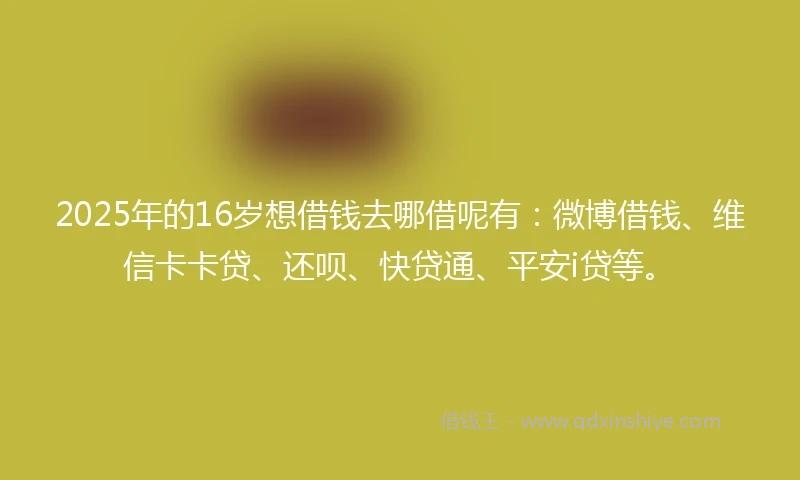 2025年的16岁想借钱去哪借呢有：微博借钱、维信卡卡贷、还呗、快贷通、平安i贷等。