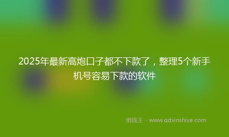 2025年最新高炮口子都不下款了，整理5个新手机号容易下款的软件