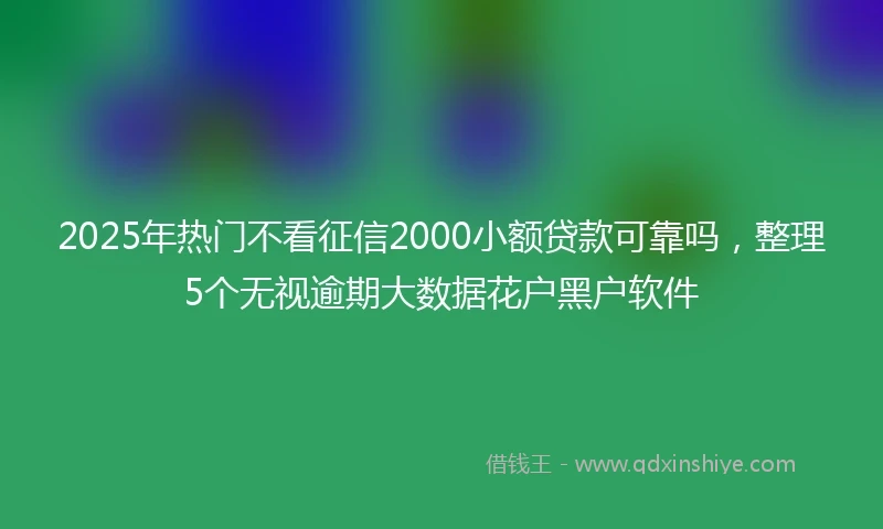2025年热门不看征信2000小额贷款可靠吗，整理5个无视逾期大数据花户黑户软件