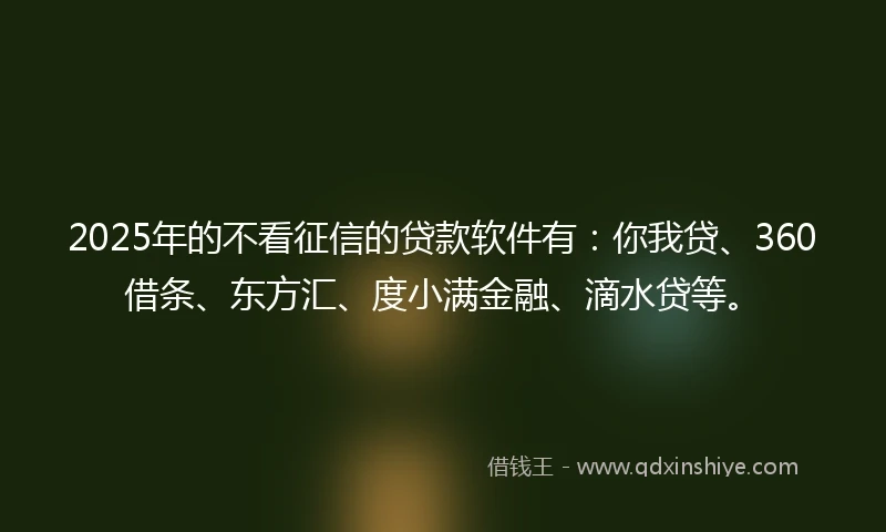 2025年的不看征信的贷款软件有：你我贷、360借条、东方汇、度小满金融、滴水贷等。