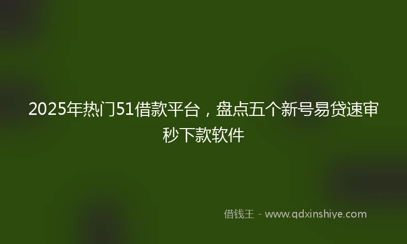 2025年热门51借款平台，盘点五个新号易贷速审秒下款软件