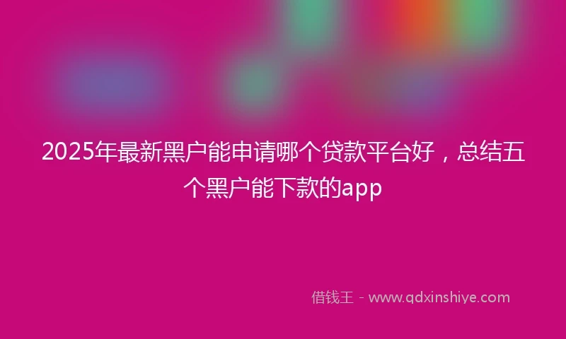 2025年最新黑户能申请哪个贷款平台好，总结五个黑户能下款的app