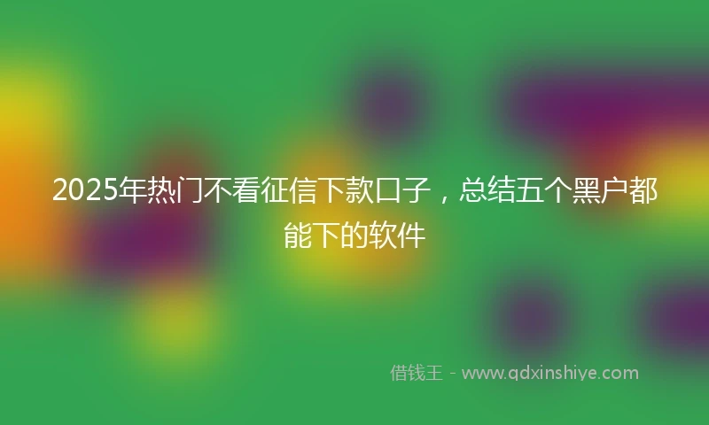 2025年热门不看征信下款口子，总结五个黑户都能下的软件