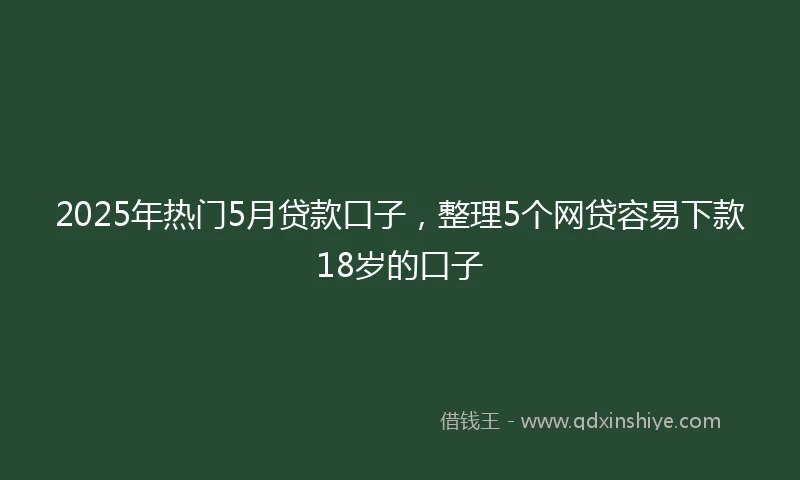 2025年热门5月贷款口子，整理5个网贷容易下款18岁的口子
