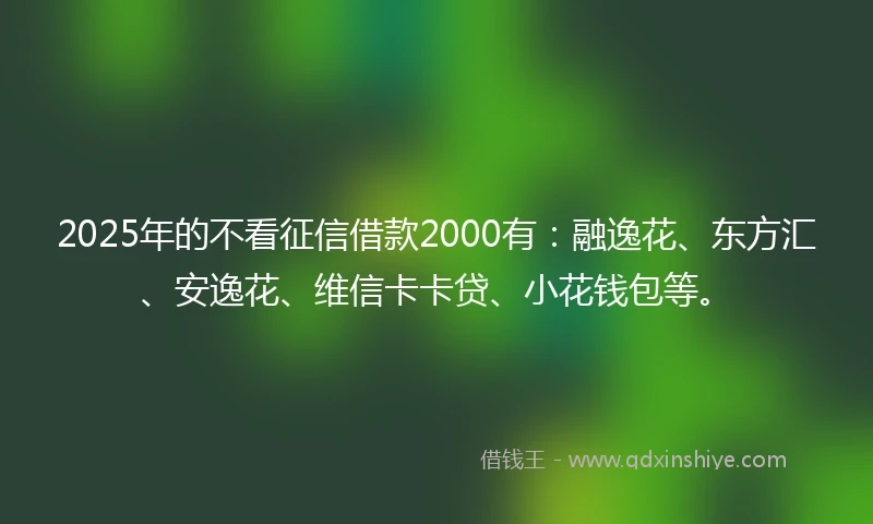 2025年的不看征信借款2000有：融逸花、东方汇、安逸花、维信卡卡贷、小花钱包等。