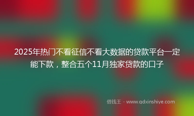 2025年热门不看征信不看大数据的贷款平台一定能下款，整合五个11月独家贷款的口子