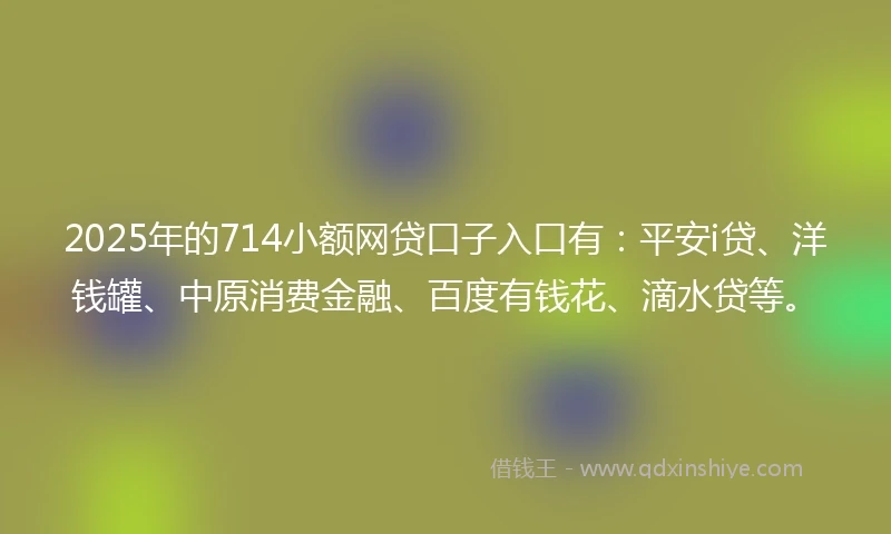 2025年的714小额网贷口子入口有：平安i贷、洋钱罐、中原消费金融、百度有钱花、滴水贷等。