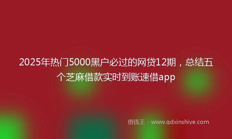 2025年热门5000黑户必过的网贷12期，总结五个芝麻借款实时到账速借app