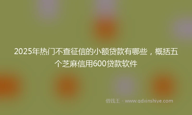 2025年热门不查征信的小额贷款有哪些，概括五个芝麻信用600贷款软件