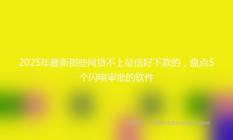 2025年最新那些网贷不上征信好下款的，盘点5个闪电审批的软件