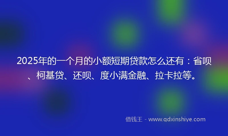 2025年的一个月的小额短期贷款怎么还有:省呗、柯基贷、还呗、度小满金融、拉卡拉等。