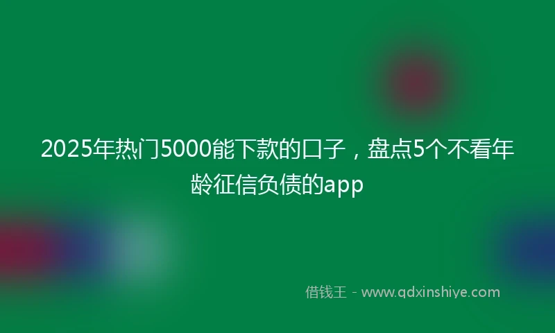 2025年热门5000能下款的口子,盘点5个不看年龄征信负债的app