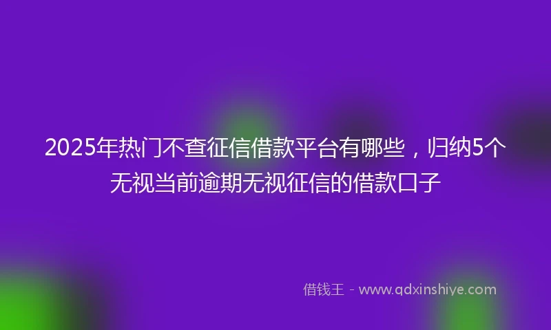 2025年热门不查征信借款平台有哪些，归纳5个无视当前逾期无视征信的借款口子