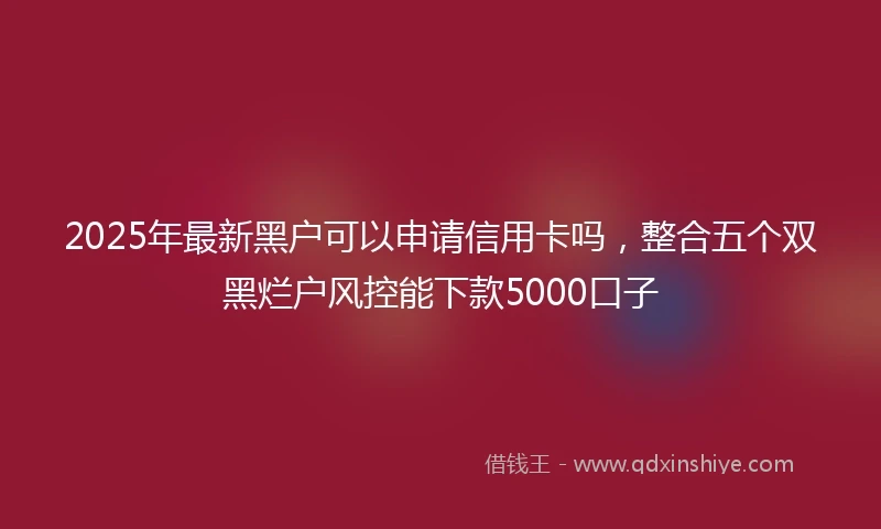 2025年最新黑户可以申请信用卡吗,整合五个双黑烂户风控能下款5000口子