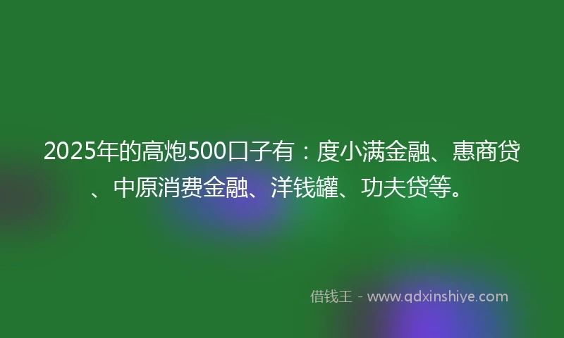 2025年的高炮500口子有：度小满金融、惠商贷、中原消费金融、洋钱罐、功夫贷等。