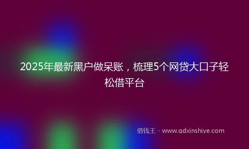 2025年最新黑户做呆账,梳理5个网贷大口子轻松借平台