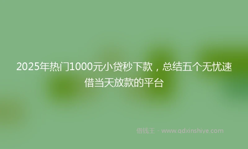 2025年热门1000元小贷秒下款，总结五个无忧速借当天放款的平台