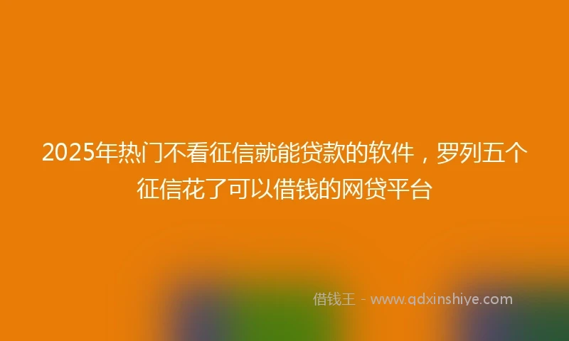 2025年热门不看征信就能贷款的软件，罗列五个征信花了可以借钱的网贷平台