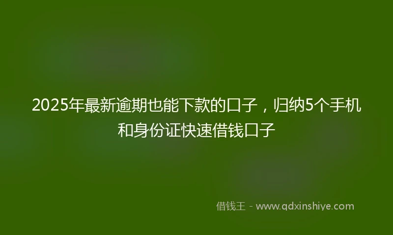 2025年最新逾期也能下款的口子，归纳5个手机和身份证快速借钱口子