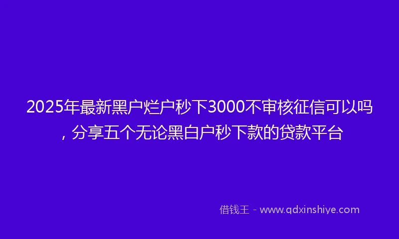 2025年最新黑户烂户秒下3000不审核征信可以吗，分享五个无论黑白户秒下款的贷款平台