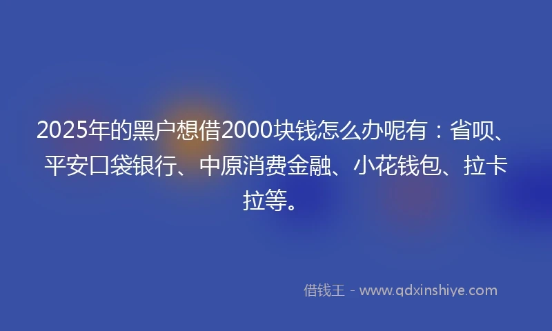 2025年的黑户想借2000块钱怎么办呢有：省呗、平安口袋银行、中原消费金融、小花钱包、拉卡拉等。