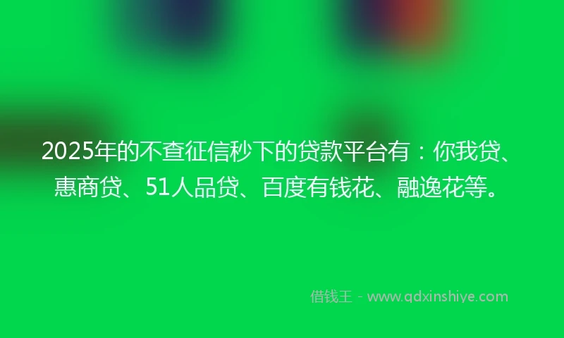 2025年的不查征信秒下的贷款平台有：你我贷、惠商贷、51人品贷、百度有钱花、融逸花等。