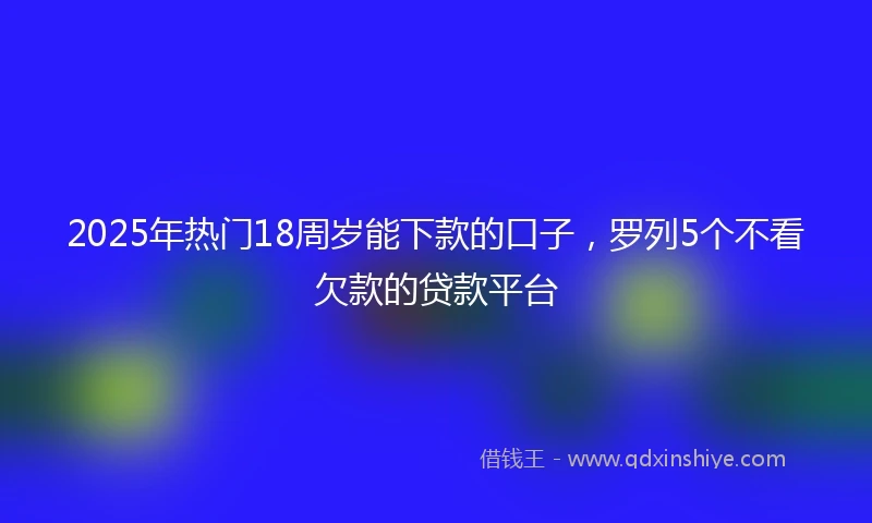 2025年热门18周岁能下款的口子，罗列5个不看欠款的贷款平台