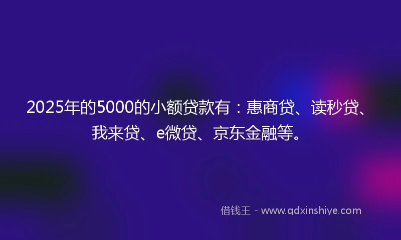 2025年的5000的小额贷款有：惠商贷、读秒贷、我来贷、e微贷、京东金融等。