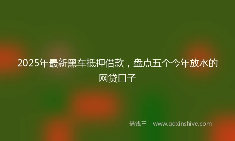 2025年最新黑车抵押借款，盘点五个今年放水的网贷口子