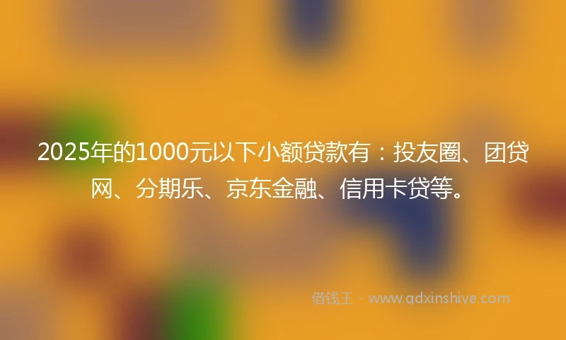 2025年的1000元以下小额贷款有：投友圈、团贷网、分期乐、京东金融、信用卡贷等。
