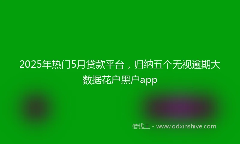 2025年热门5月贷款平台,归纳五个无视逾期大数据花户黑户app