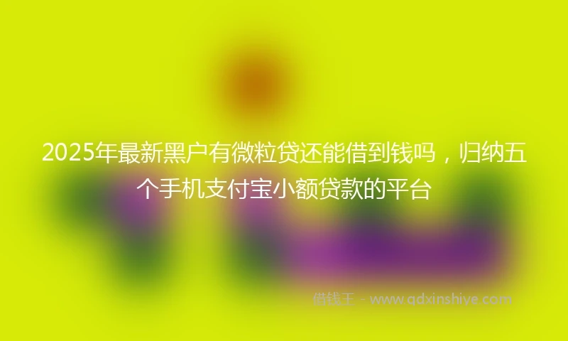 2025年最新黑户有微粒贷还能借到钱吗，归纳五个手机支付宝小额贷款的平台