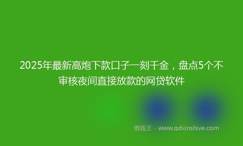 2025年最新高炮下款口子一刻千金，盘点5个不审核夜间直接放款的网贷软件