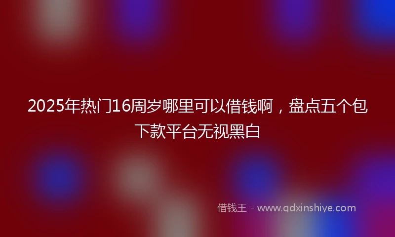 2025年热门16周岁哪里可以借钱啊，盘点五个包下款平台无视黑白