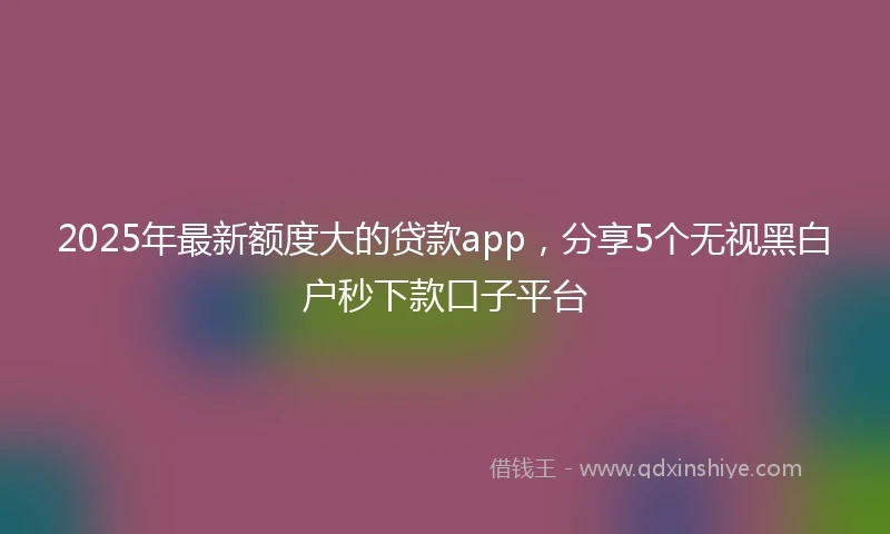 2025年最新额度大的贷款app，分享5个无视黑白户秒下款口子平台