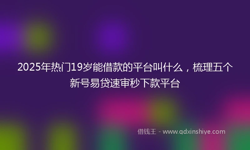 2025年热门19岁能借款的平台叫什么，梳理五个新号易贷速审秒下款平台