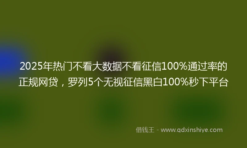 2025年热门不看大数据不看征信100%通过率的正规网贷，罗列5个无视征信黑白100%秒下平台