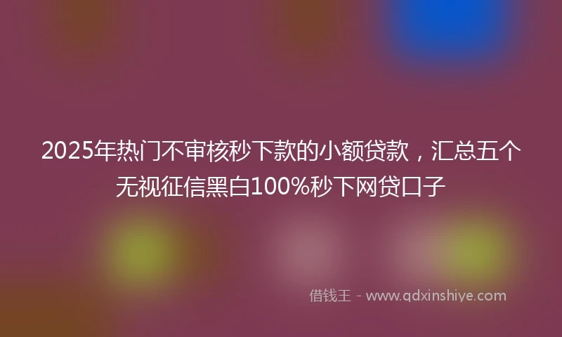 2025年热门不审核秒下款的小额贷款，汇总五个无视征信黑白100%秒下网贷口子
