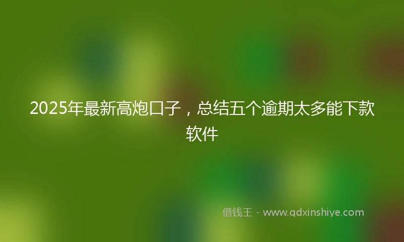 2025年最新高炮口子，总结五个逾期太多能下款软件
