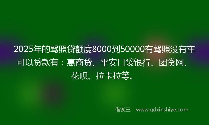 2025年的驾照贷额度8000到50000有驾照没有车可以贷款有：惠商贷、平安口袋银行、团贷网、花呗、拉卡拉等。
