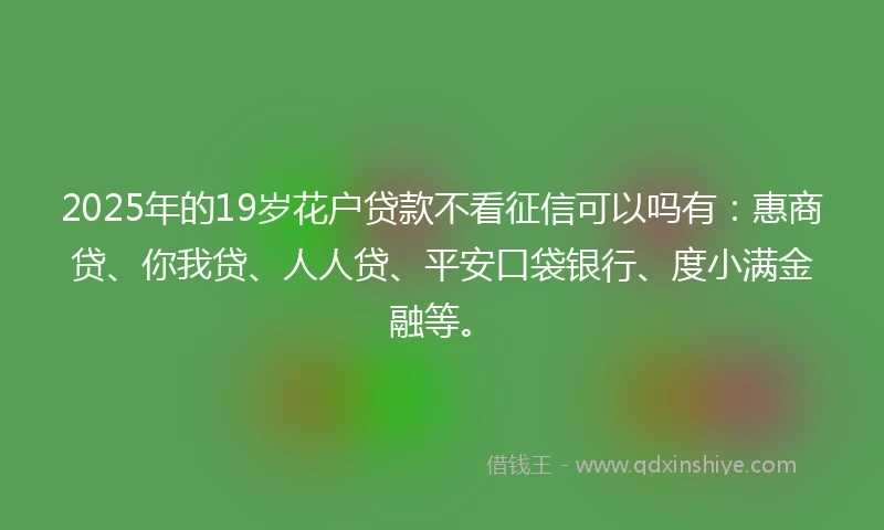 2025年的19岁花户贷款不看征信可以吗有:惠商贷、你我贷、人人贷、平安口袋银行、度小满金融等。