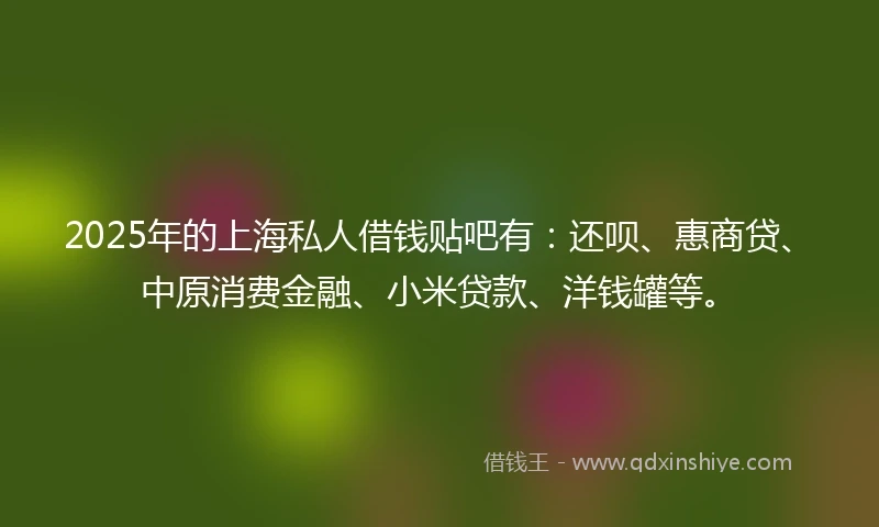 2025年的上海私人借钱贴吧有:还呗、惠商贷、中原消费金融、小米贷款、洋钱罐等。