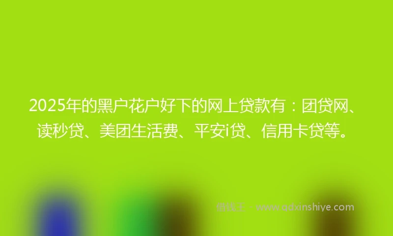 2025年的黑户花户好下的网上贷款有：团贷网、读秒贷、美团生活费、平安i贷、信用卡贷等。