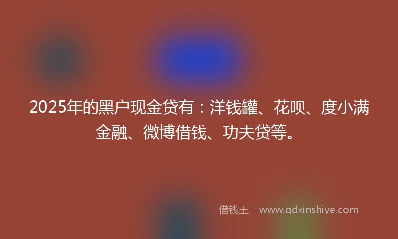 2025年的黑户现金贷有：洋钱罐、花呗、度小满金融、微博借钱、功夫贷等。