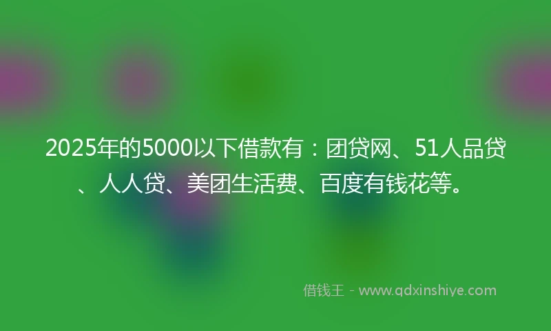 2025年的5000以下借款有：团贷网、51人品贷、人人贷、美团生活费、百度有钱花等。