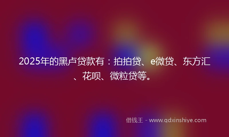 2025年的黑卢贷款有：拍拍贷、e微贷、东方汇、花呗、微粒贷等。