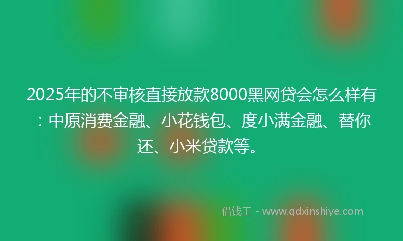 2025年的不审核直接放款8000黑网贷会怎么样有：中原消费金融、小花钱包、度小满金融、替你还、小米贷款等。