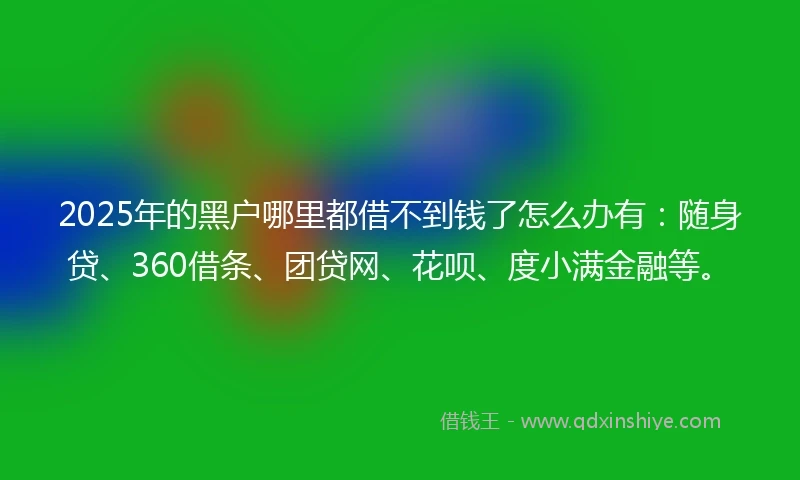 2025年的黑户哪里都借不到钱了怎么办有：随身贷、360借条、团贷网、花呗、度小满金融等。