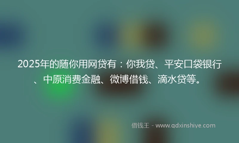 2025年的随你用网贷有：你我贷、平安口袋银行、中原消费金融、微博借钱、滴水贷等。